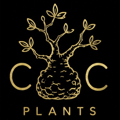 CC plants