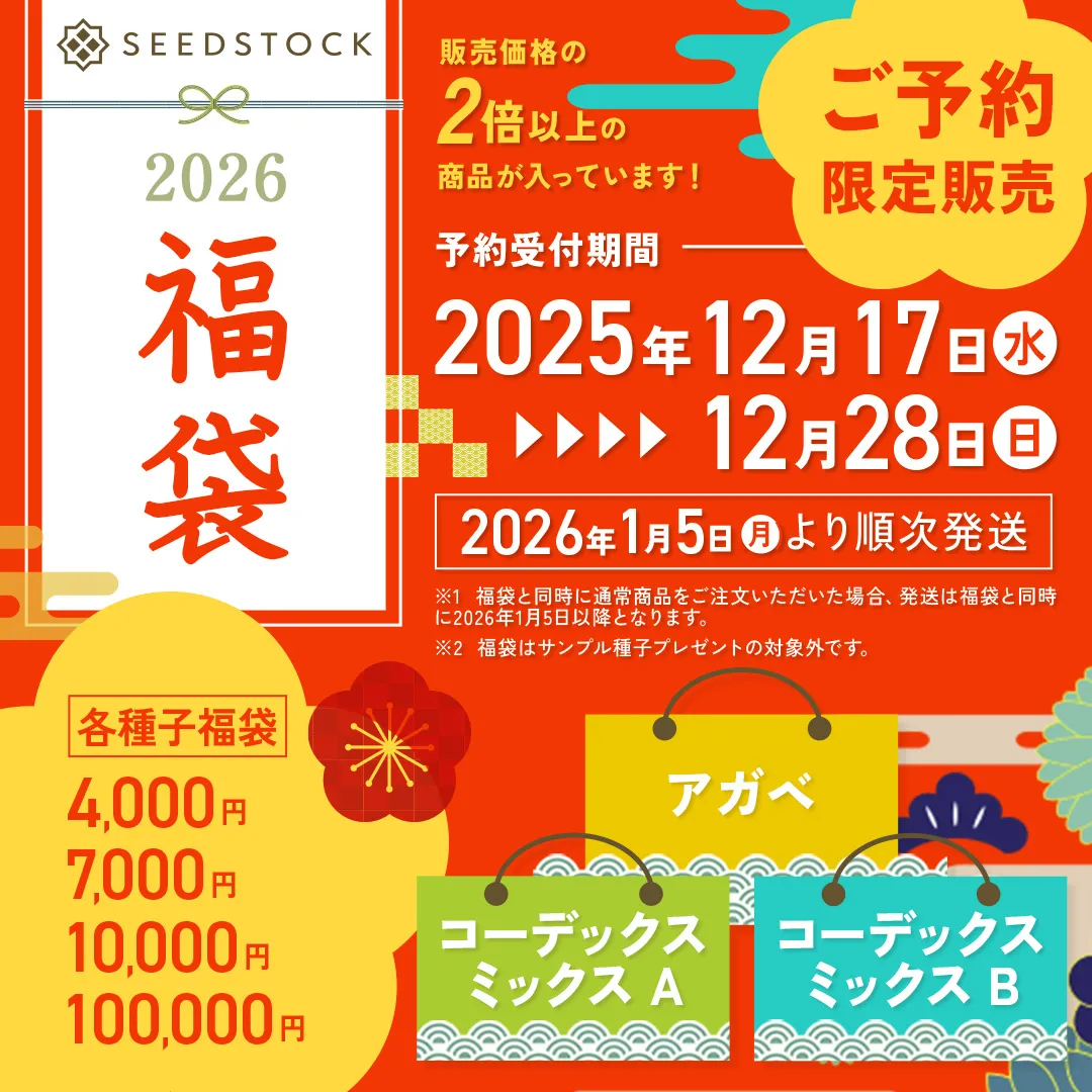 多肉植物・塊根植物・観葉植物 種子のお店 seedstock - SEEDSTOCK