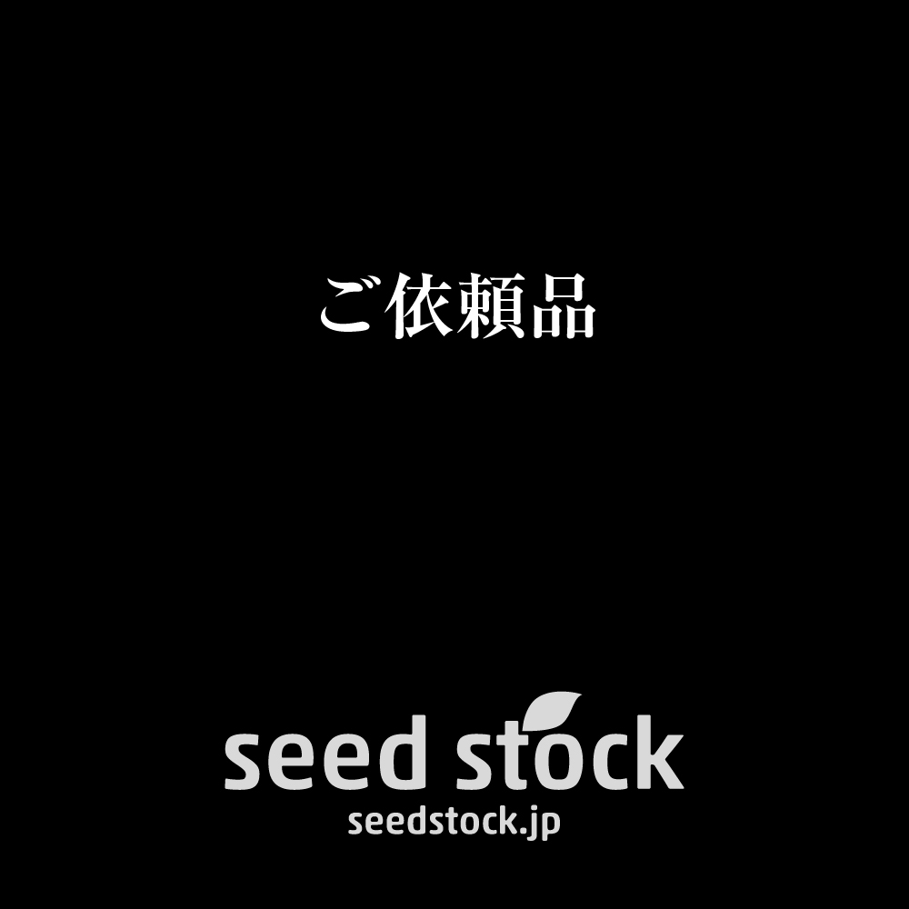 ご依頼品
