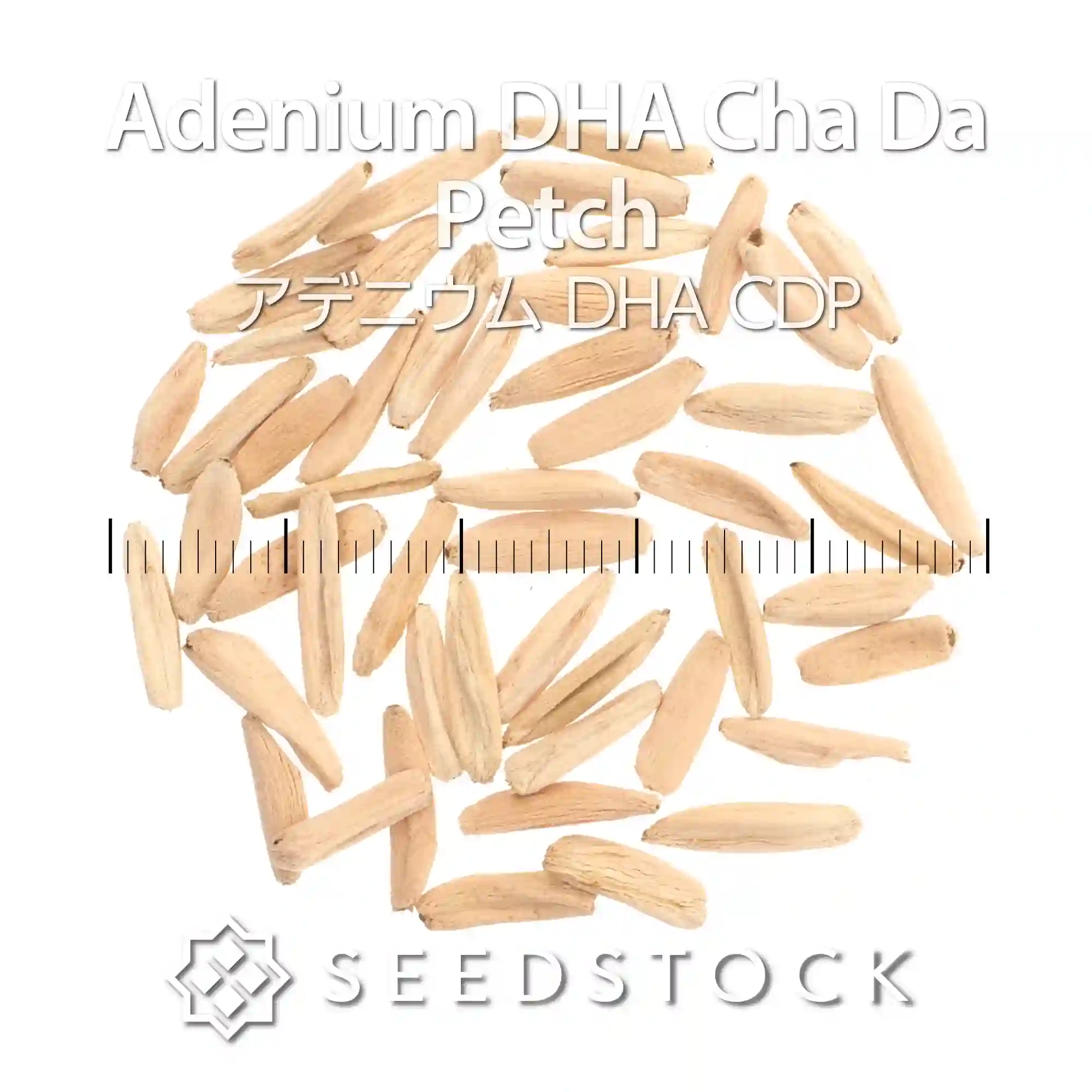 [種子] アデニウム DHA CDP Adenium DHA  Cha Da Petch