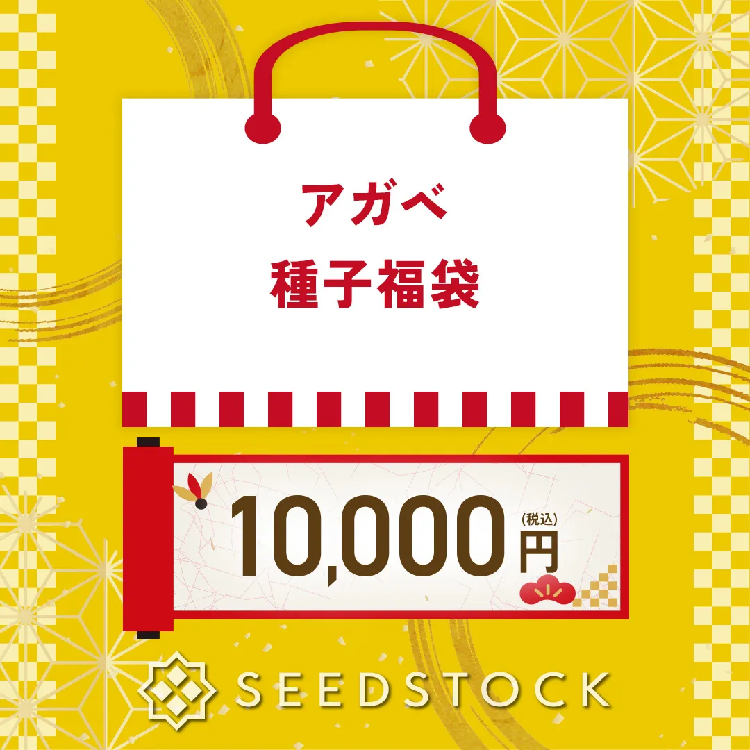 新着商品一覧 - SEEDSTOCK
