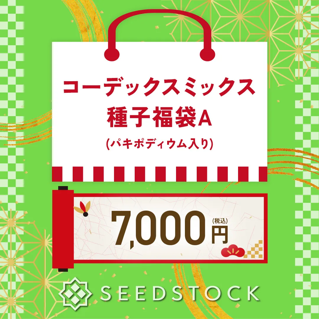 多肉植物・塊根植物・観葉植物 種子のお店 seedstock - SEEDSTOCK
