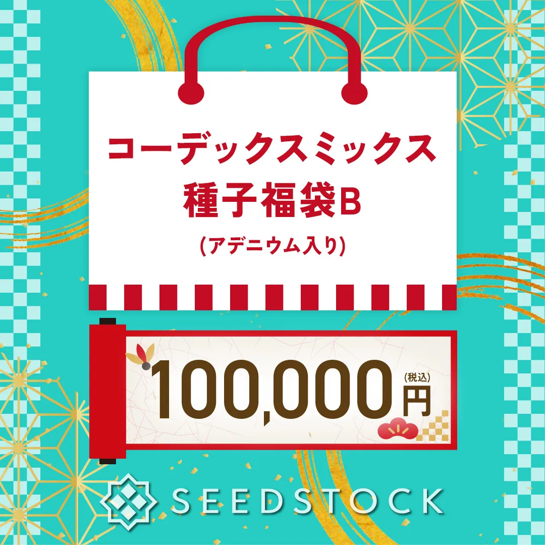 新着商品一覧 - SEEDSTOCK