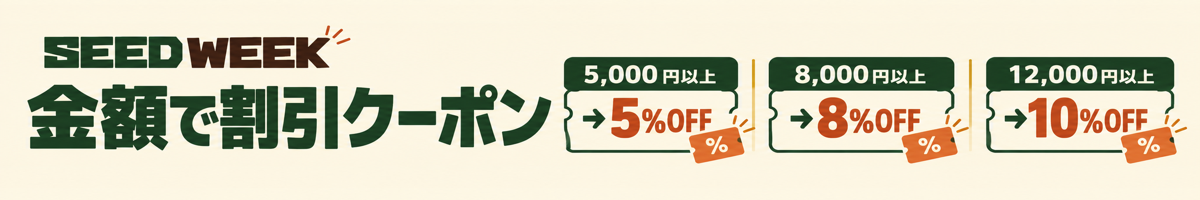 金額で割引クーポン