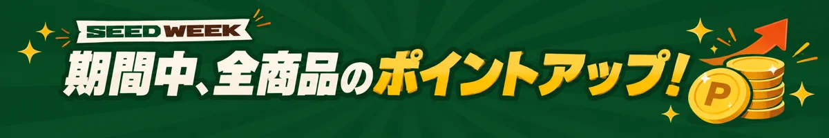 ポイント