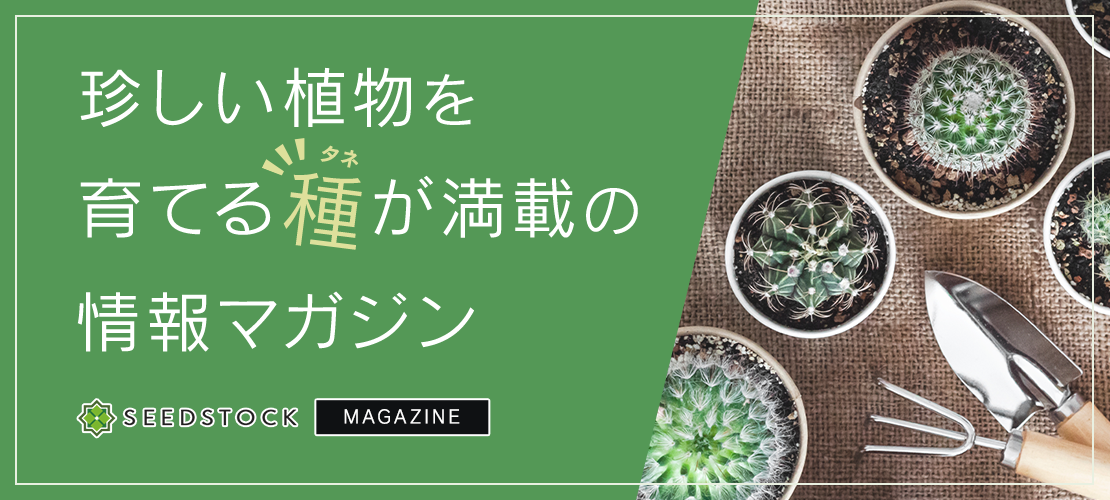 SEED STOCK MAGAZINE