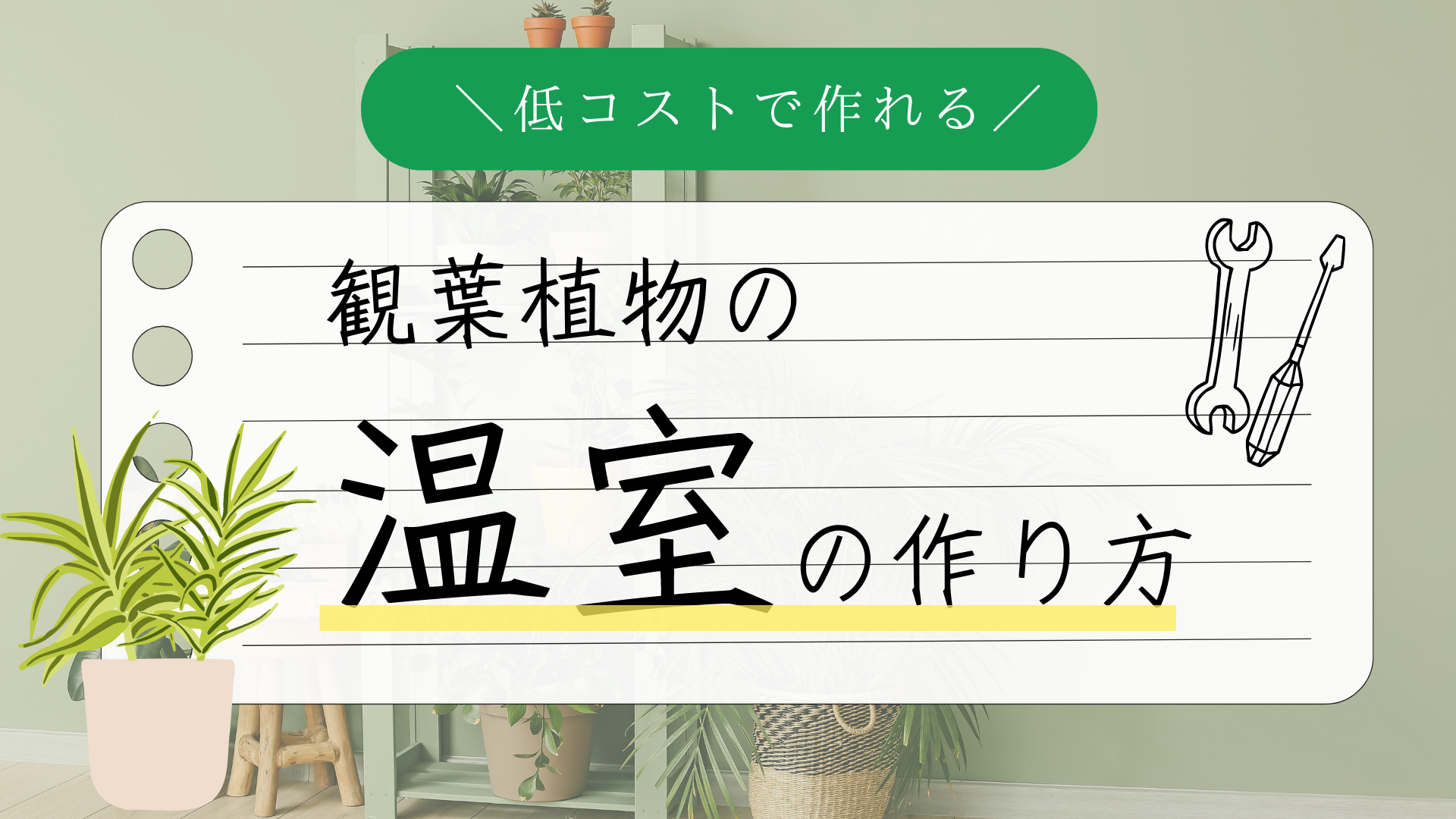 観葉植物の温室を低コストで作る方法 - シードストックマガジン 種子販売や実生方法のご紹介