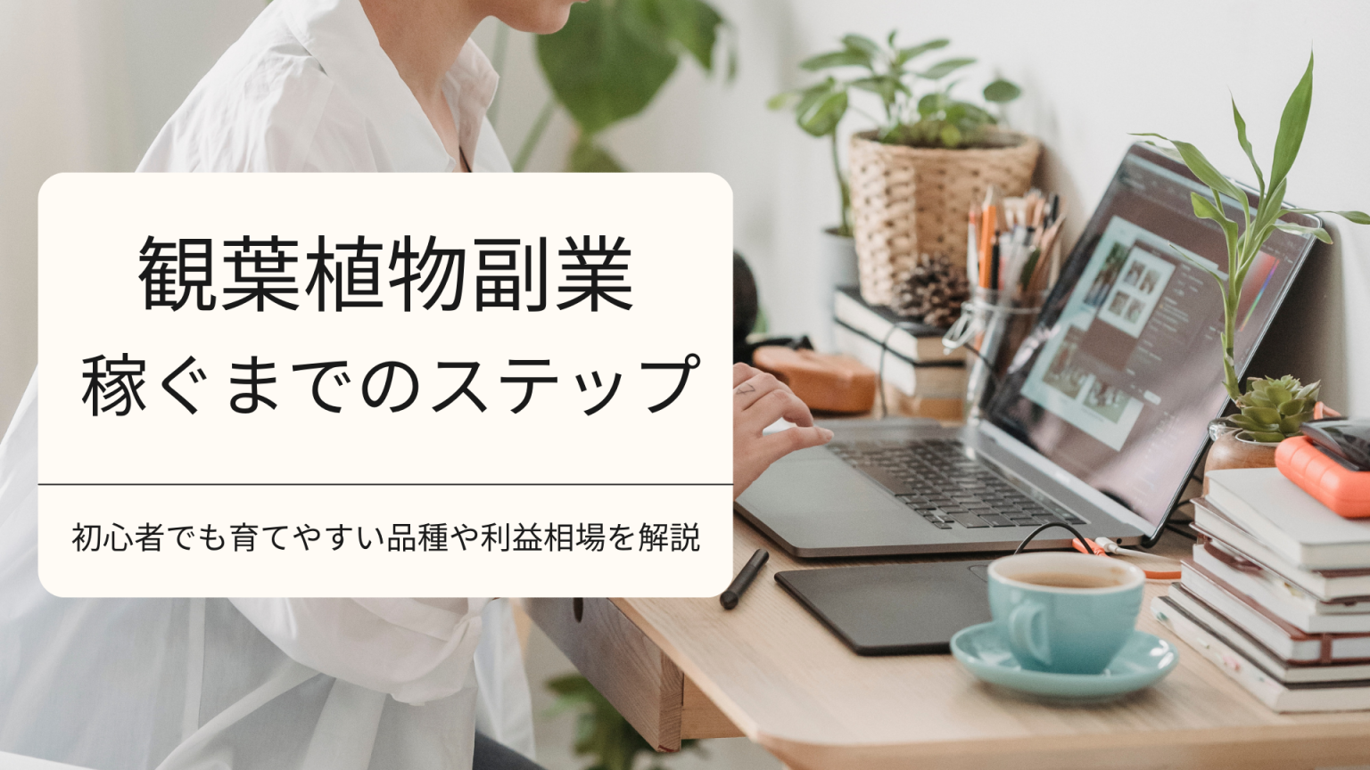 観葉植物副業で稼ぐ！初心者でもわかりやすい育成ステップや収益相場を解説 - シードストックマガジン 種子販売や実生方法のご紹介