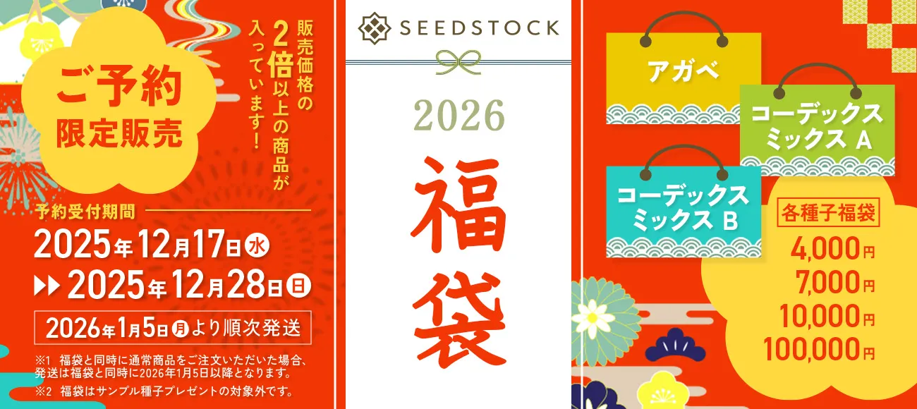 2026福袋_pc-1.webp