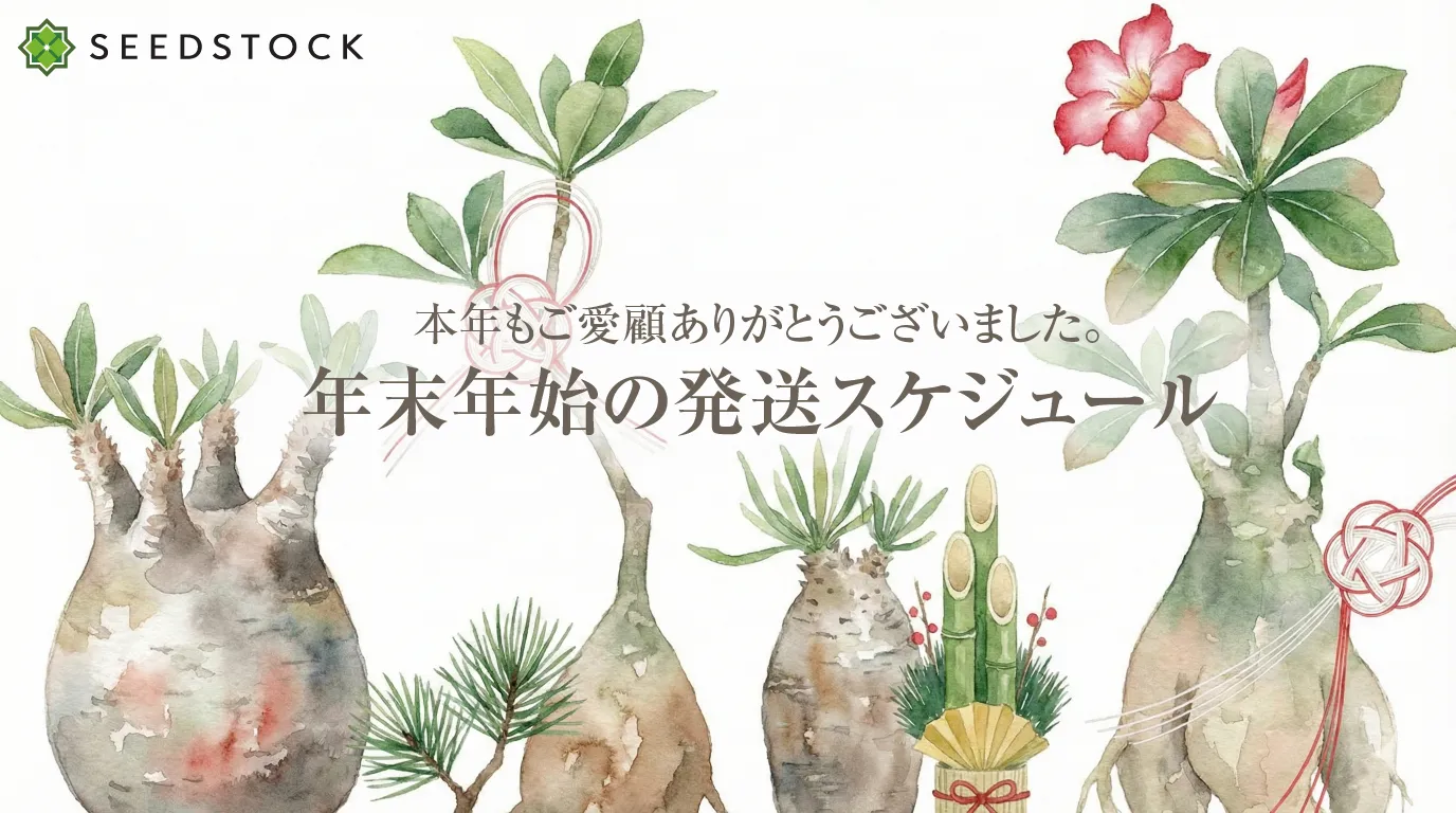 年末年始の営業・発送スケジュールについてのお知らせ - シード