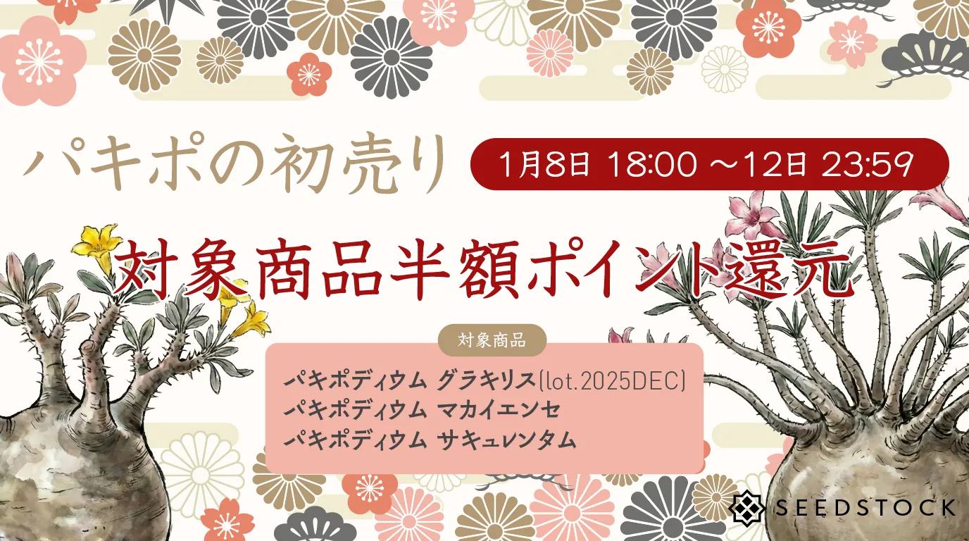 パキポの初売り！半額ポイントバック【数量限定】 - シードストック