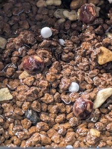 土と同じ高さくらいまで水を入れる