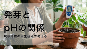 発芽とpHの関係を、塊根植物の実生視点で考える