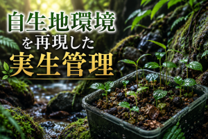 自生地環境を再現した実生管理
