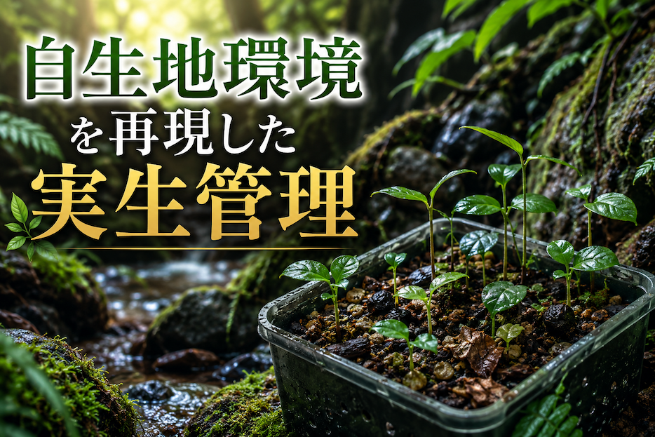 自生地環境を再現した実生管理