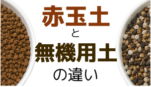 赤玉土と無機用土の違い