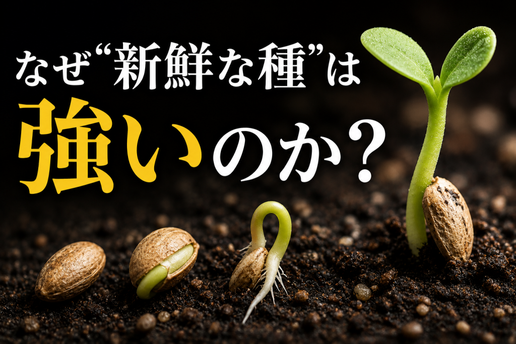 なぜ新鮮な種子は強いのか