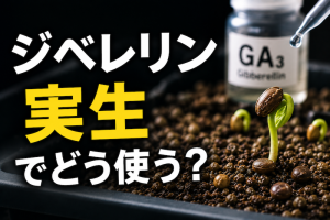 ジベレリン