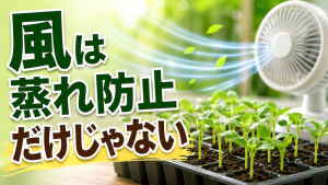 風は蒸れ防止だけじゃない