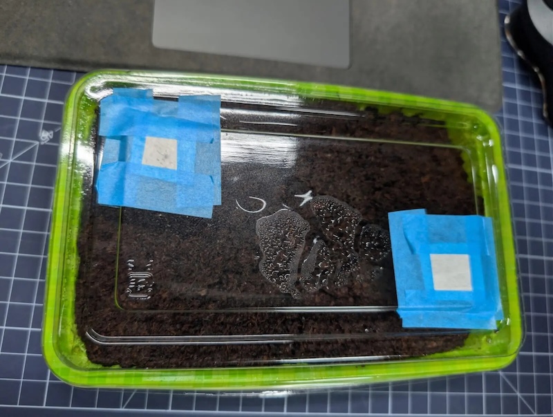 蓋の全容