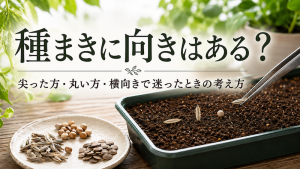 種蒔きの向き