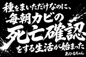種を蒔いただけなのに