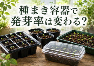 種まき容器で発芽率は変わる？容器ごとの特徴と失敗しにくい選び方