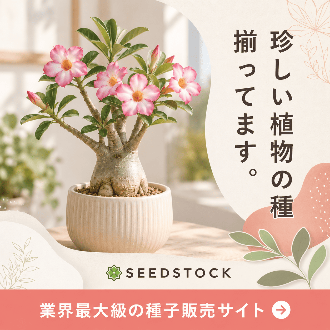 キャンペーンバナー