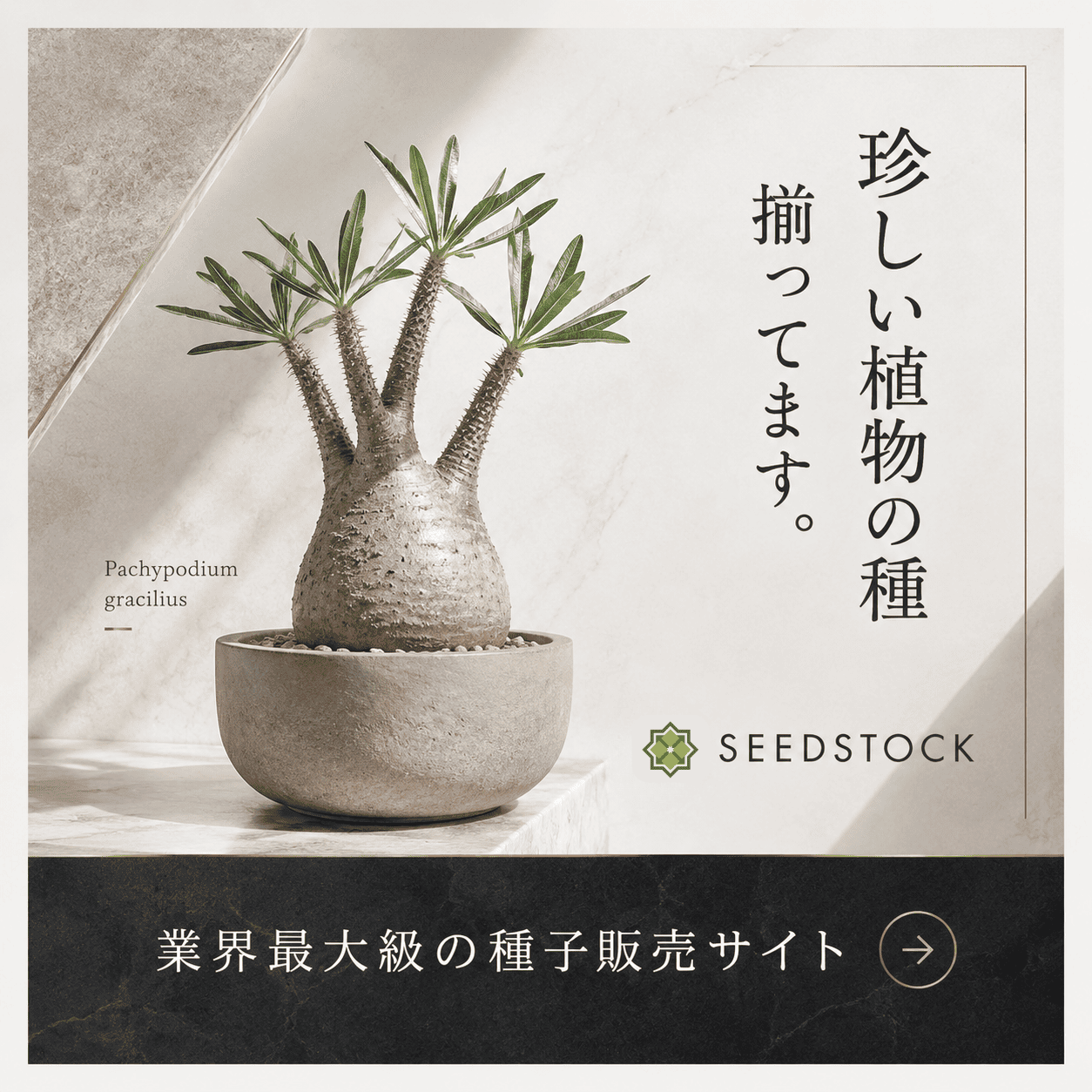 キャンペーンバナー