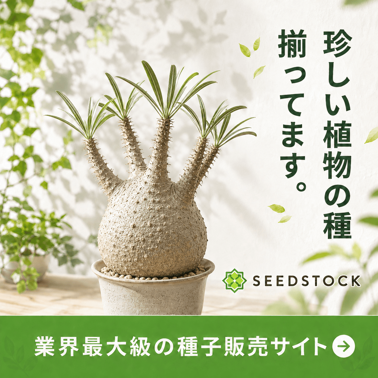 サイドバナー