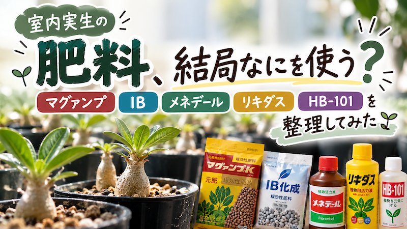 肥料結局何使う