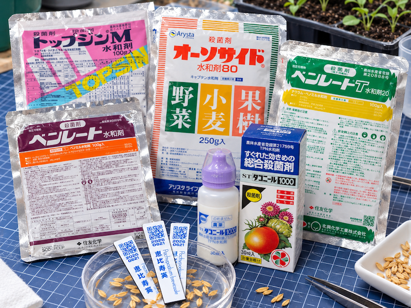 今回は、実生で名前を聞くことの多い5種類の殺菌剤について、特徴や使い分け、注意点を整理してみます。