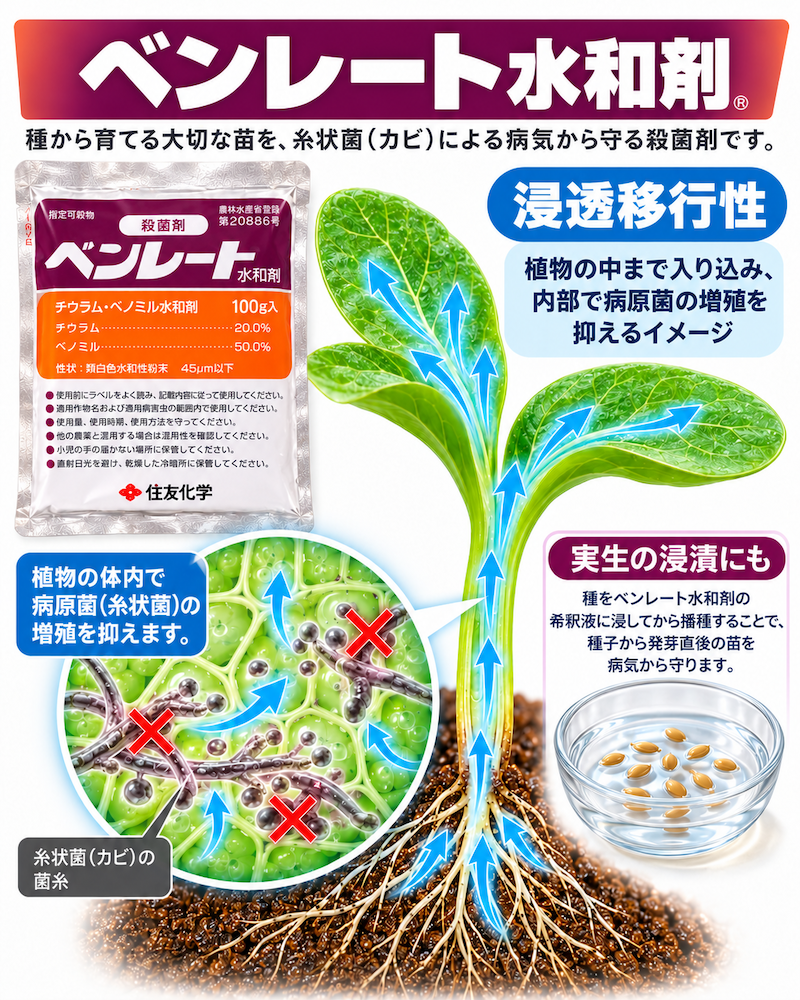 植物体内へ取り込まれて作用する「浸透移行性」が特徴です。