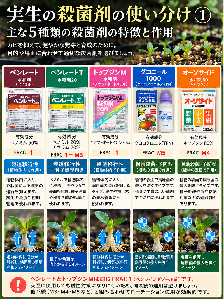 作用機構を確認する必要