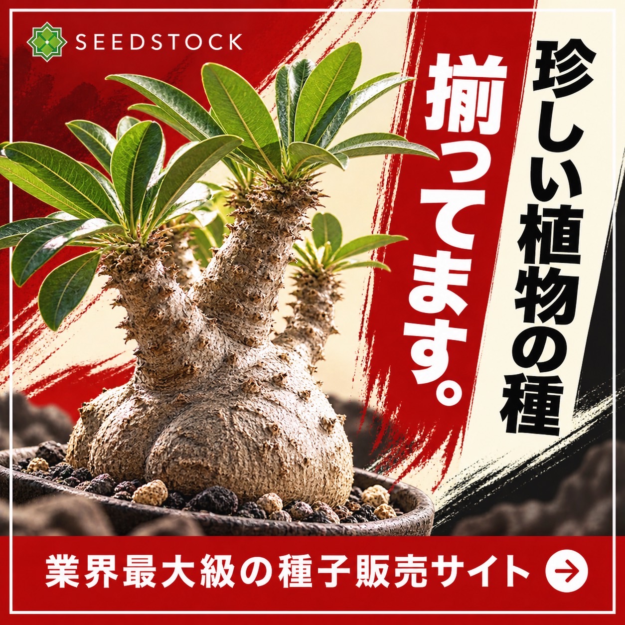 キャンペーンバナー