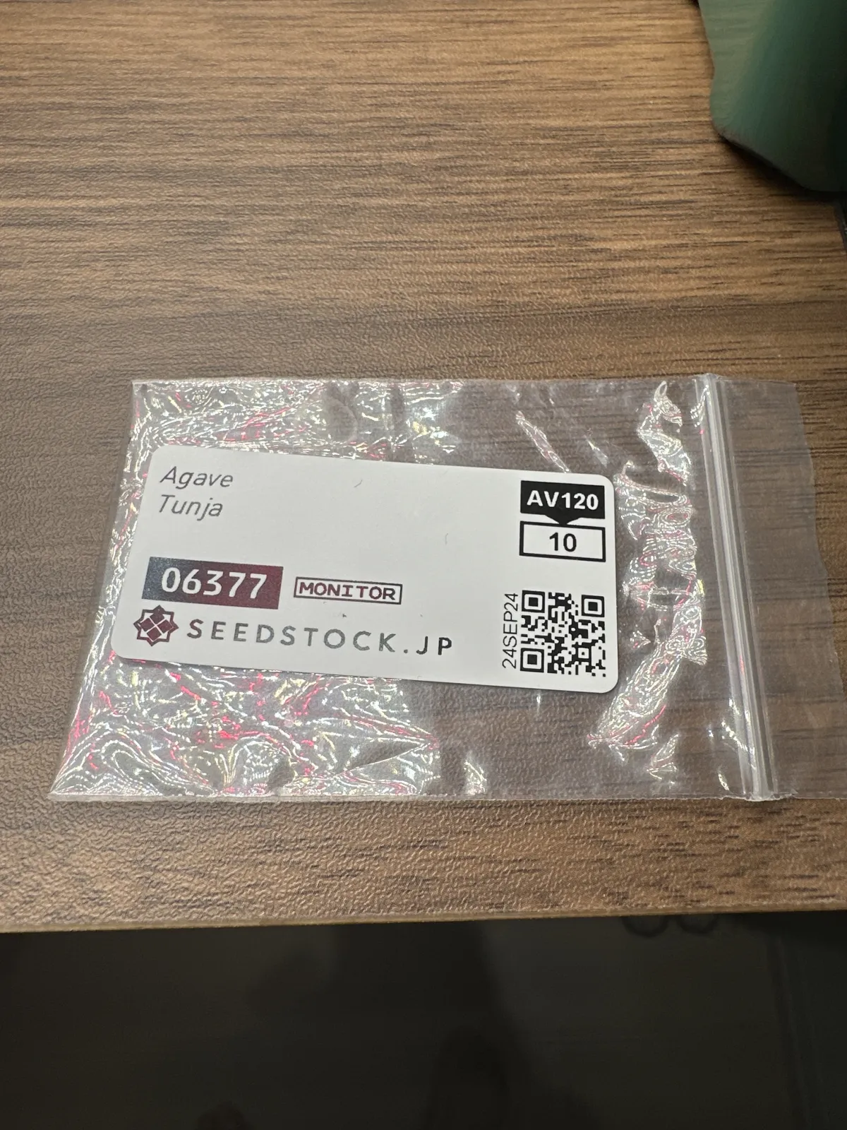 Agave Tunja (アガベ トゥンハ)