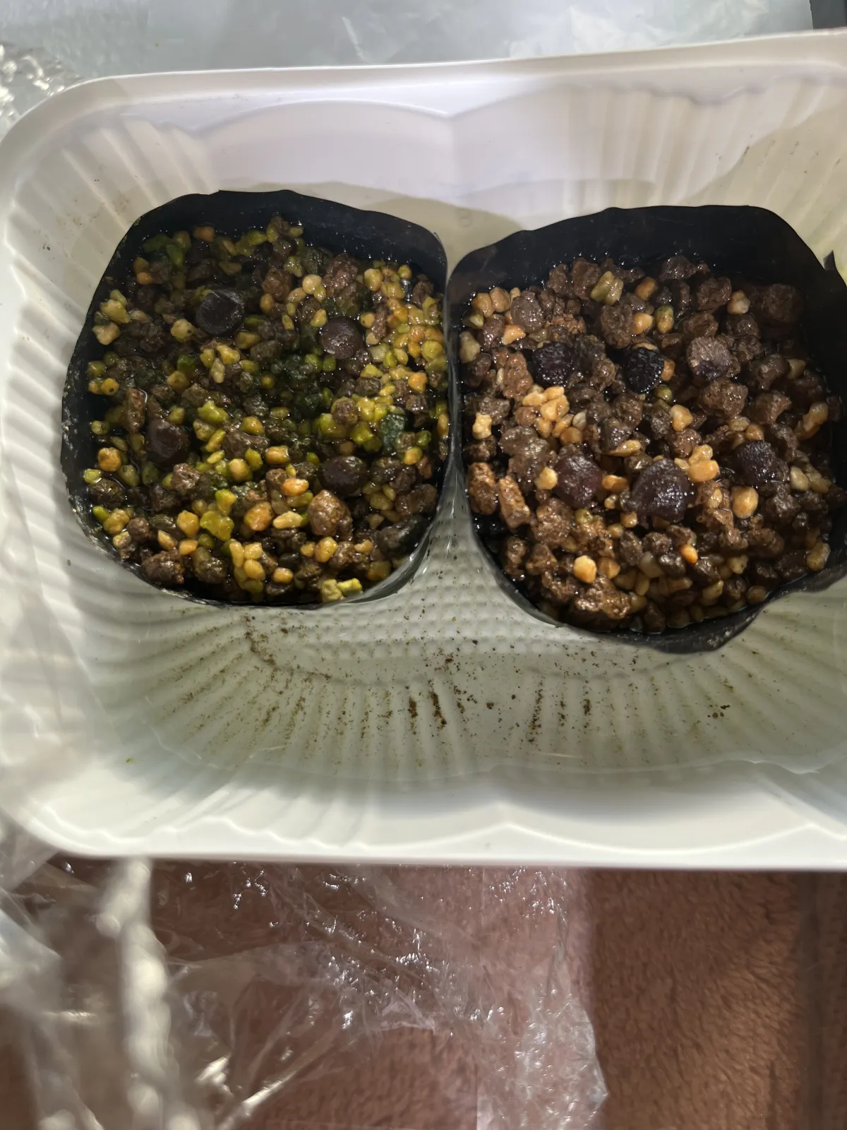 Adenia globosa (アデニア グロボーサ)