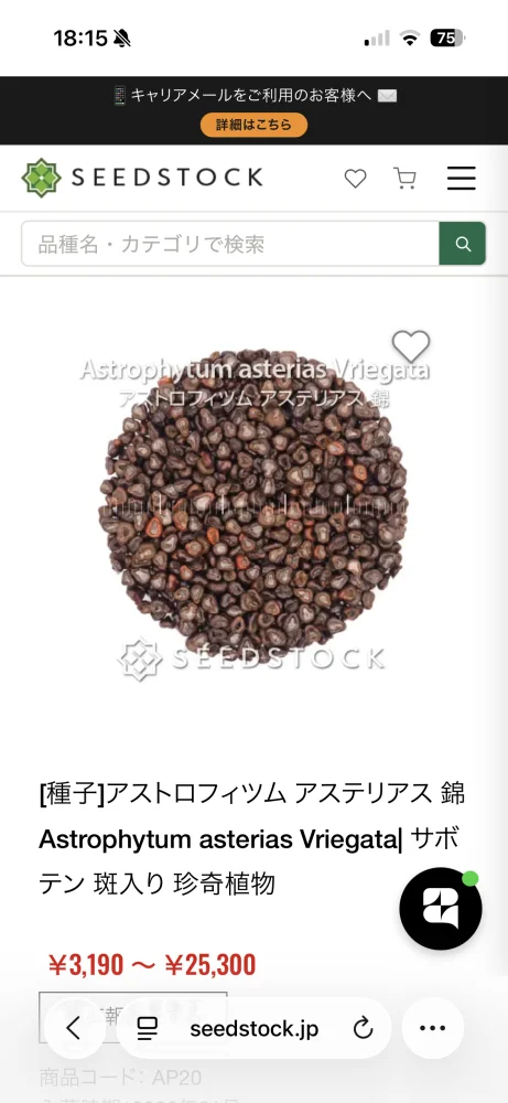 Astrophytum asterias  Vriegata (アストロフィツム アステリアス 錦)